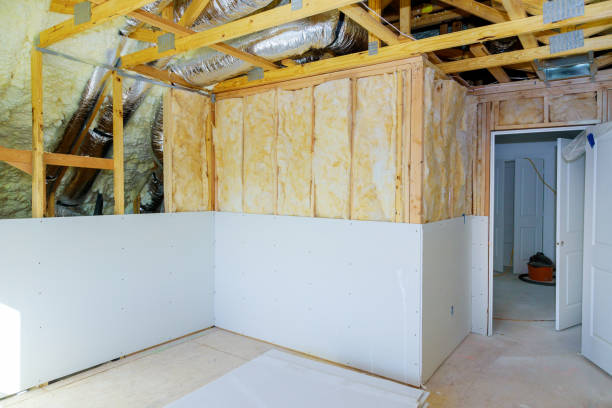 Best Eco-Friendly Insulation in USA